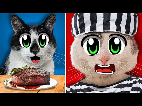 Видео: ПОБЕГ ИЗ ТЮРЬМЫ ЧЕЛЛЕНДЖ vs 10% VS 50% VS 100% от ЕДЫ ЧЕЛЛЕНДЖ! ЧТО ЛУЧШЕ?