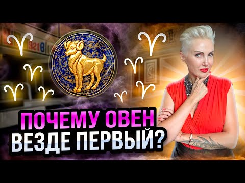 Видео: ОВЕН Мужской знак зодиака. Почему ему нужна женщина МЫШКА? #астрология #овен #гороскоп