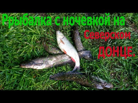 Видео: Рыбалка с ночевкой  на Северском Донце.