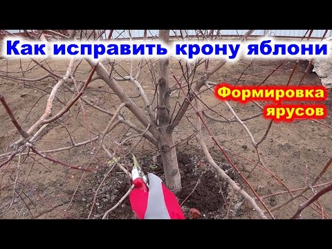 Видео: Исправление обрезкой ЯБЛОНИ, формируем ярусную крону.