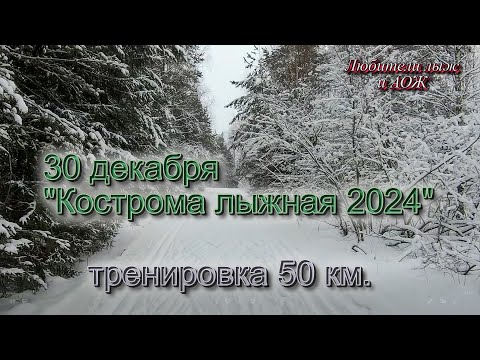 Видео: 30 декабря.  Кострома лыжная 2024.  Тренировка 50 км.
