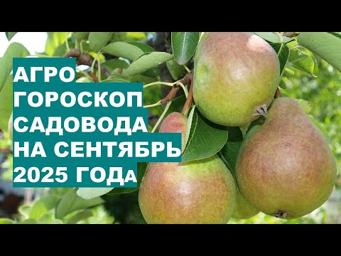 Видео: Лучшие Дни для Работ в Саду в Сентябре 2025!