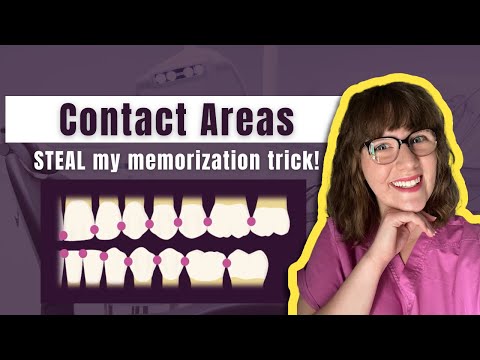 Видео: Изучите контактные зоны всех зубов | Используйте эту таблицу и совет, чтобы запомнить их БЫСТРЕЕ