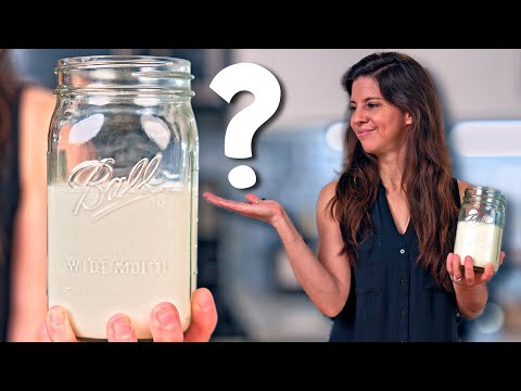 Видео: Йогурт SIBO и L Reuteri: ответы, которые нужно знать