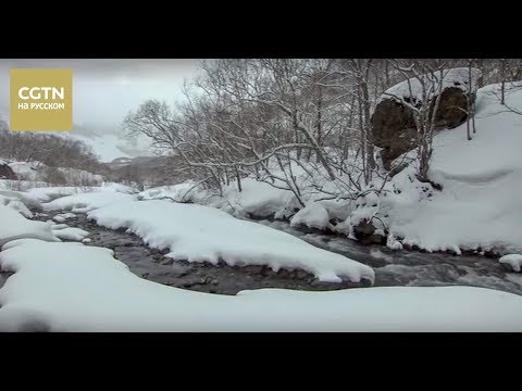 Видео: Китай на кончике языка Серия 4 Вкус，выдержанный временем Часть 2 [Age0+]