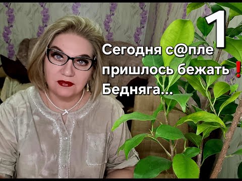 Видео: Сегодня с@пле пришлось бежать!Бедняга...