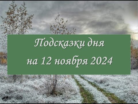 Видео: Гороскоп на 12 ноября 2024 года