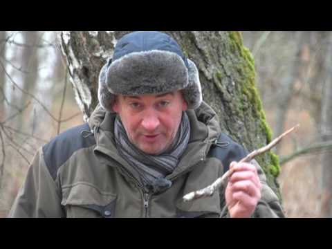 Видео: Уроки выживания в дикой природе. Сезон 1. Компас из ничего