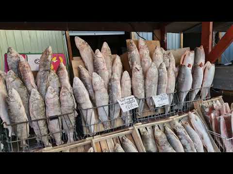 Видео: Рыбные ряды Крестьянского рынка г Якутска 25.11.2024 г. Сезон рыбы начался! #yakutsk #fish #frosen
