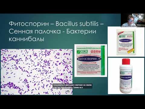 Видео: / Ландшафтный дизайн/ G-02252795/ Преподаватель - Миронова Ольга Юрьевна/ ИП Муравьева И.В.