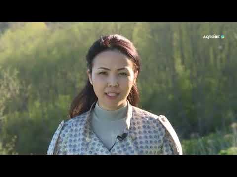 Видео: "Ржев-город воинской славы" Документальный фильм