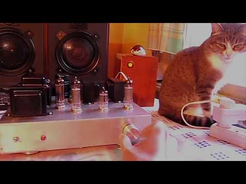 Видео: Божественный ламповый усилитель.