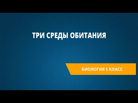 Видео: Три среды обитания