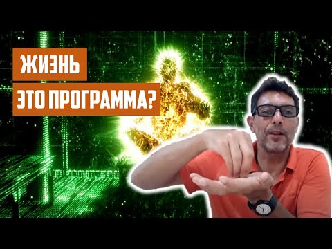 Видео: Вся жизнь это программа? | Отрывок беседы