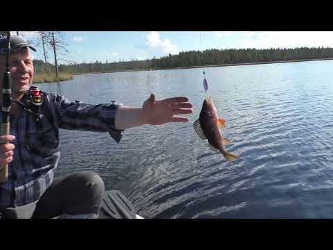 Видео: Рыбалка на канализационные трубы!