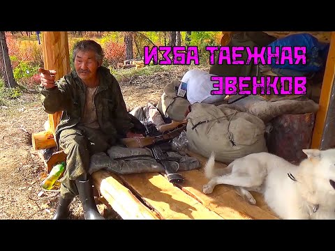 Видео: Где кончается цивилизация: Эвенкийский быт у таежной избы.
