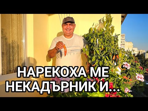 Видео: Най - боли когато те обидят несправедливо и незаслужено! Лоши хора има, но добрите са повече от тях!