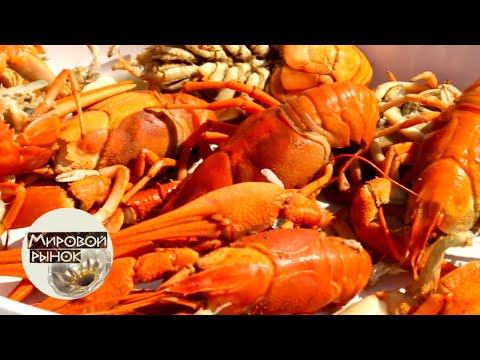Видео: Ростов-на-Дону. Старый базар. Часть 1 🍅 Мировой рынок 🌏 Моя Планета