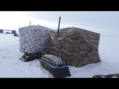 Видео: ЖИВЕМ В ПАЛАТКЕ НА БЕЛОМ МОРЕ! КАК ПОМОРЫ МЕНЯ НАВАГУ УЧИЛИ ЛОВИТ? ЗИМНЯЯ РЫБАЛКА, БОЛЬШОЙ ФИЛЬМ!