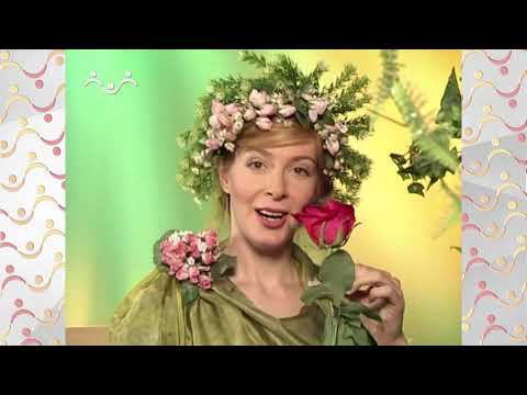 Видео: Шишкин Лес.  Сказка.  Царица цветов