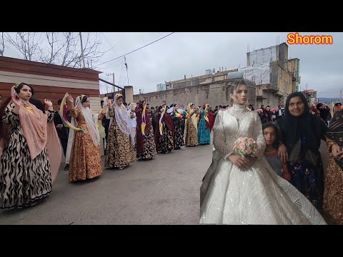 Видео: Свадьба дочери тети Касима: танцы, музыка и радость👰♥️😍