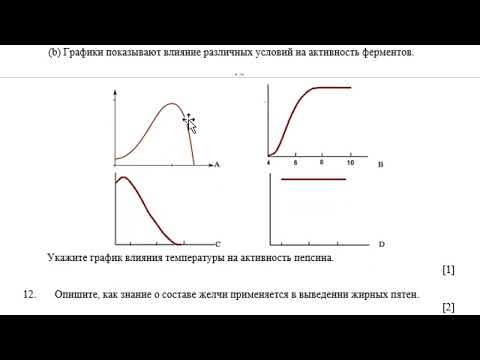 Видео: 9 класс Биология 1 четверть СОЧ