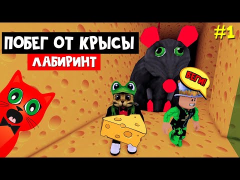 Видео: Украли сыр у ОГРОМНОЙ КРЫСЫ в роблокс | Cheese Escape roblox | Побег с Папой и дочки от КРЫСЫ #1