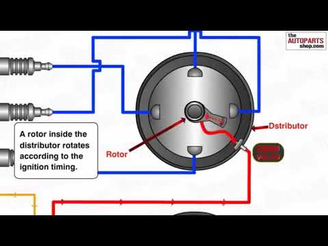 Видео: Оталдыру жүйесінің құрлысы және қызметі