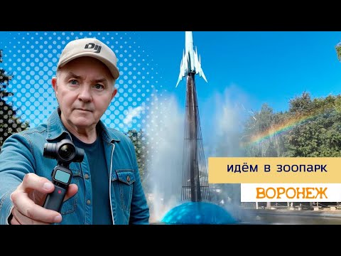 Видео: Идем в зоопарк, Воронеж, 9 08 24г