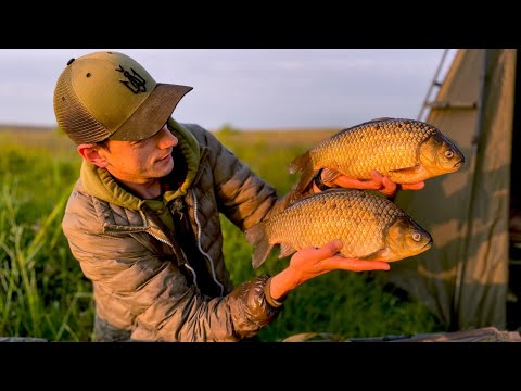 Видео: СКАЖЕНИЙ КЛЬОВ ТРОФЕЙНОГО КАРАСЯ. Рибалка на Карася