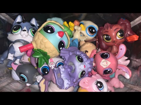 Видео: 🤯💤🥝🐾💓МОЯ КОЛЛЕКЦИЯ ЛПС ИГРУШЕК + бонус в конце‼️‼️😉💥📦🌀🌪️