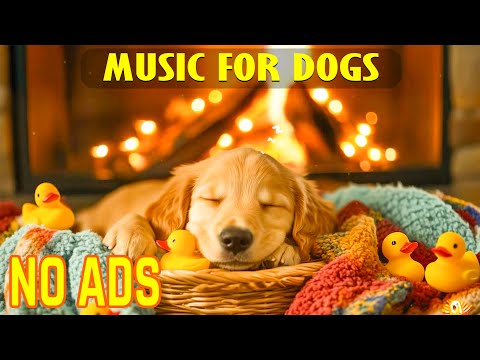 Видео: 12 ЧАСОВ бинауральных ритмов для собак🎧🐶 Решение проблемы шума🎆🧘‍♀️ Праздничный мир