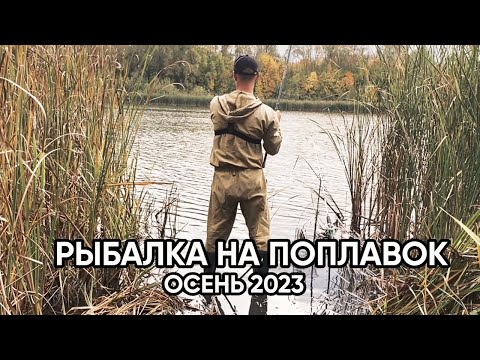 Видео: Осенняя рыбалка на удочку. Рыбалка в Самарской области.