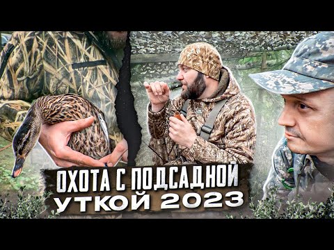 Видео: Весенняя охота с Григорием Кривцовым/Все премудрости охоты с подсадной