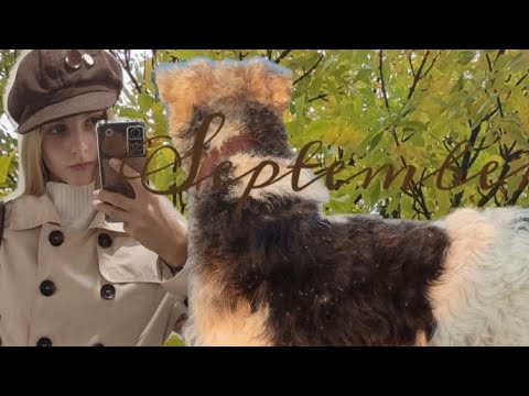 Видео: Cozy autumn vlog 🍂🤎 Уютный осенний влог