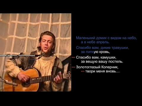 Видео: Веня Д'ркин - Золотоглазый Коперник (поём вместе!)