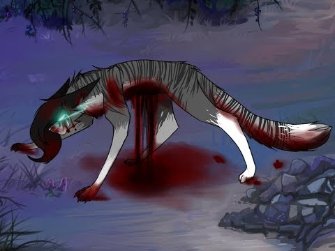 Видео: Выбралась из Сумрачного Леса| CatWar