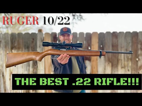 Видео: ОБЗОР RUGER 10/22!!! Почему он правит бал!