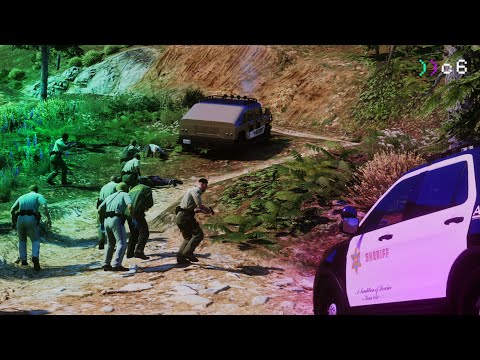 Видео: Опасное задержание в лесу | code6.ru