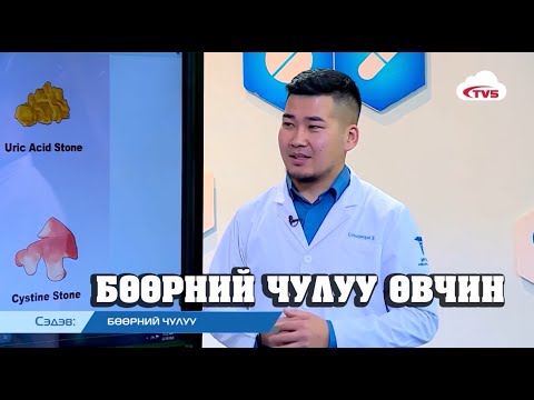 Видео: БӨӨРНИЙ ЧУЛУУ ӨВЧИН