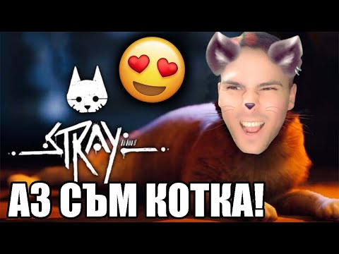 Видео: АЗ СЪМ КОТКА? НАЙ-СЛАДКАТА ИГРА!😸