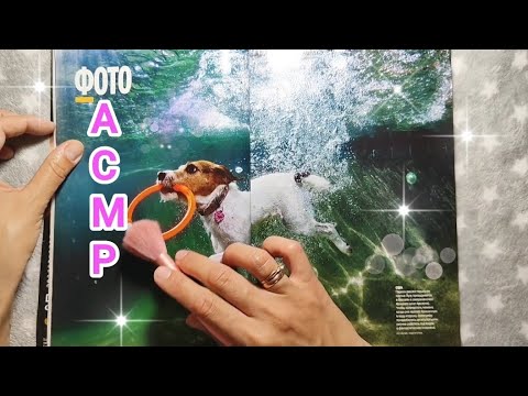 Видео: АСМР,  ASMR : листаю журнал National geographic. Шепот. Болталка. 1 часть.
