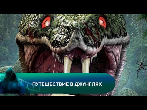 Видео: ПОИСКИ ОТЦА ПРИВЕЛИ ИХ В АД! Путешествие в джунглях. Лучшие фильмы