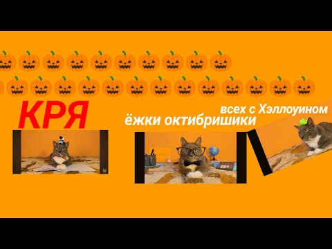 Видео: ЕСЛИ БЫ КОТИКИ ХОДИЛИ В ШКОЛУ И ПРАЗДНОВАЛИ ХЭЛЛОУИН