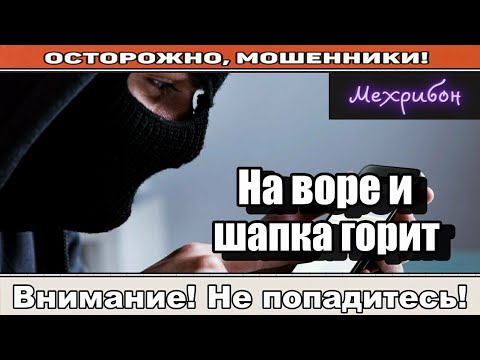 Видео: Мошенники звонят по телефону / Вы кто такая? ( сборник ).