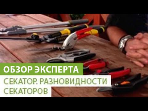 Видео: Секатор. Разновидности секаторов