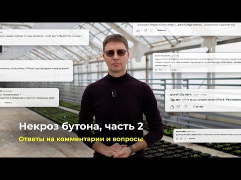 Видео: Некроз бутона, часть 2 | Ответы на комментарии и вопросы