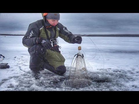 Видео: ПОСТАВИЛ ХАПУГУ НА ПЕРВОМ ЛЬДУ! ЗДЕСЬ ТОННЫ РЫБЫ!!! Первый лед 2024-25. Зимняя рыбалка.