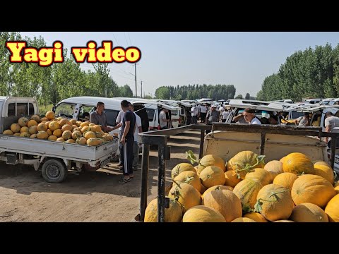 Видео: Янги видео Жамашуй ковун бозори