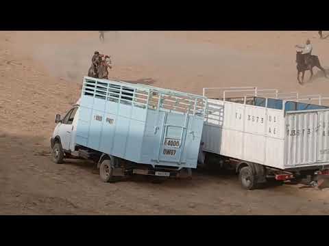 Видео: Бузкаши дар шахри Турсунзода дехаи Максим Горький  2025 с.  Гаштак